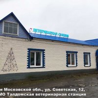 Объемные буквы на крыше ветстанции, Талдом, Советская 12